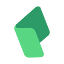 CASEpeer logo